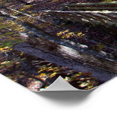 Caddo Bend Trail Bridge in Autumn Forest Poster (Coin)