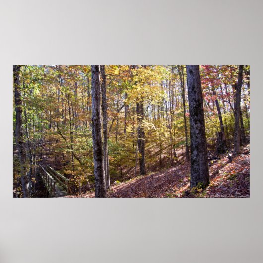 Caddo Bend Trail Bridge in Autumn Forest Poster (Devant)