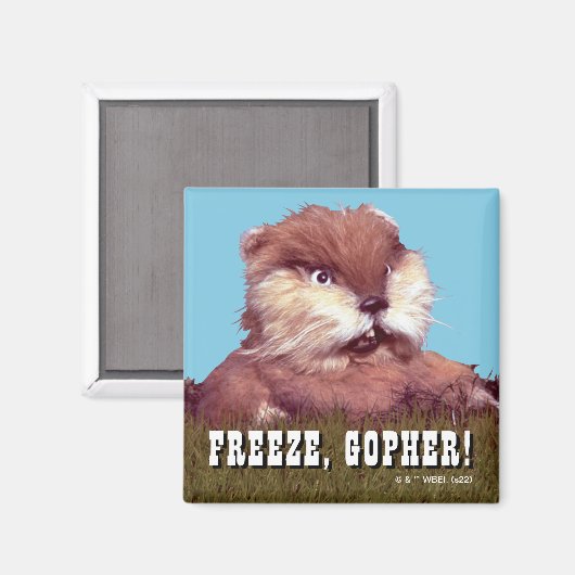 Caddyshack | Bevriezing, Gopher. Magneet (Voorkant / Achterkant)