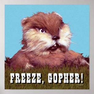 Caddyshack   Bevriezing, Gopher. Poster