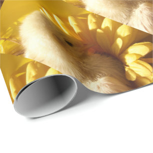 Cadeau animal, unique, papier d'enveloppement brillant, c