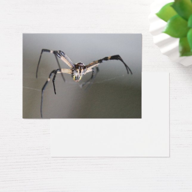 Cadeau Argiope Spider Lover (Bureau)