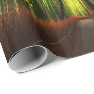 Cadeau Bambou et Papillon Art 2 Papier d'enveloppement