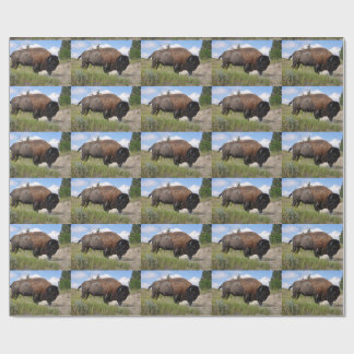 Cadeau Buffalo sur le papier d'emballage de jour