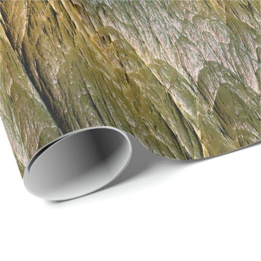 Cadeau Cabine 1 Papier à envelopper (Coin rond)