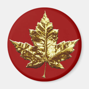 Cadeau Canada Souvenir Frigo Magnet Gold Maple Lea
