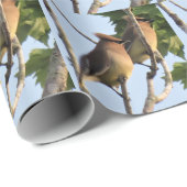 Cadeau Cedar Waxing - Jardin Bird - Papier à envelopper (Coin rond)