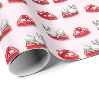 Cadeau Chat malicieux papier d'emballage