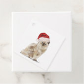 Cadeau Chat mignon dans un chapeau de Noël Étiquettes cad (En situation)