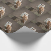 Cadeau Chouette en papier à envelopper brillant (Coin)