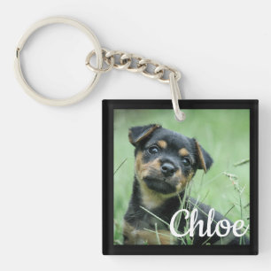 Cadeau d'animal de compagnie pour Noël Porte-clés