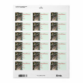 Cadeau de Noël Étiquette (Feuille entière)