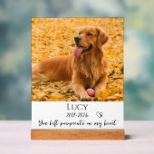 Cadeau de souvenir de perte de chien de compagnie (Neutre)