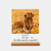 Cadeau de souvenir de perte de chien de compagnie (Recto)