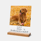 Cadeau de souvenir de perte de chien de compagnie (Angle)