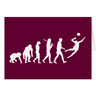 Cadeau de volleyball