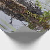 Cadeau Dingue sur le papier d'emballage de nid (Coin)