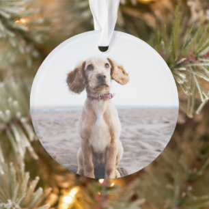 Cadeau d'ornement de photo de chien pour l'arbre d