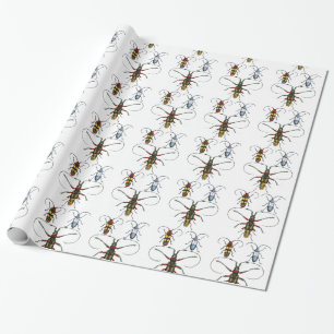 Cadeau Enveloppe de papier de scarabées