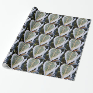 Cadeau Envelopper la feuille de papier avec de la glace