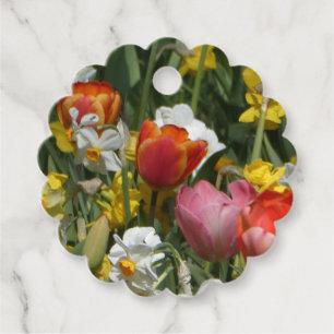 Cadeau Étiquettes de tulipes et jonquilles colorées