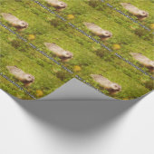 Cadeau Étreignez un groundhog aujourd'hui le papier (Coin)