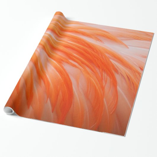 Cadeau Flamant rose 2 Papier d'emballage (Déroulé)