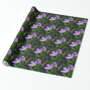 Cadeau Fleur sauvage papier d'enveloppement Sabatia en La