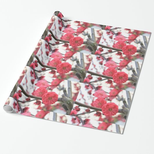 Cadeau fleurs de prune fleurs rose de printemps 2 papier (Déroulé)