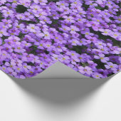 Cadeau Fleurs violettes Enveloppant Violets Papier (Coin)