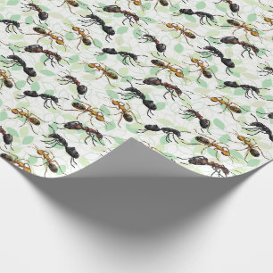 Cadeau Fourmis Insectes Bugs Papier d'emballage