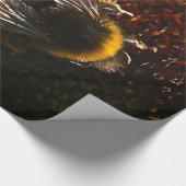 Cadeau Gaffez le papier d'emballage d'abeille (Coin)