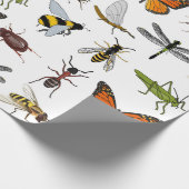 Cadeau INSECTES FRAIS de papier d'emballage (Coin)