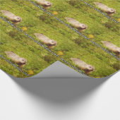 Cadeau Joyeux papier d'emballage de jour de Groundhog (Coin)