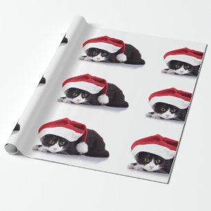 Cadeau Kitten avec papier d'enveloppement de chapeau de S