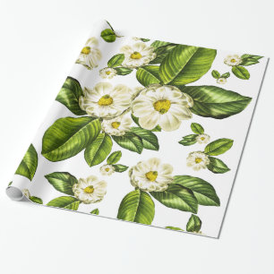 Cadeau La magnolia fleurit le papier d'emballage