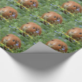 Cadeau Le cobaye de gingembre de papier d'emballage (Coin)