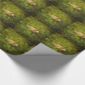 Cadeau Marmotte de fond dans un papier d'emballage (Coin)