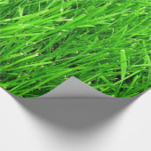 Cadeau motif d'herbe, PAPIER d'ENVELOPPE, (Coin)