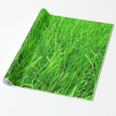 Cadeau motif d'herbe, PAPIER d'ENVELOPPE, (Déroulé)