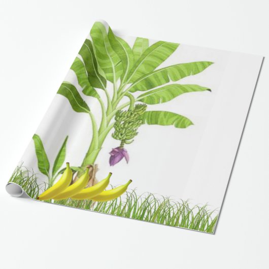 Cadeau Papier à enveloppement bananier (Déroulé)