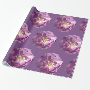 Cadeau Papier à enveloppement brillant rose Roses