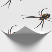 Cadeau Papier à enveloppement d'araignée (Coin)