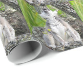 Cadeau Papier à enveloppement de lémurien (Coin rond)