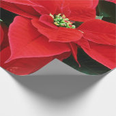 Cadeau Papier à enveloppement de pousses de Noël (Coin)