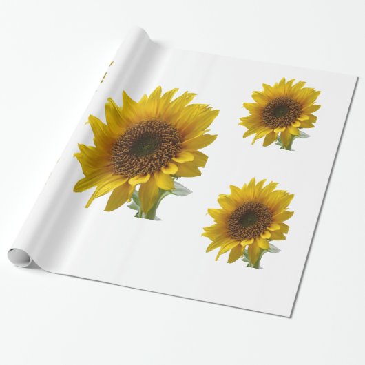 Cadeau Papier à enveloppement de tournesol (Déroulé)
