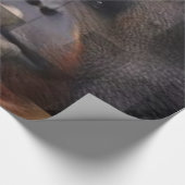 Cadeau Papier à enveloppement d'orangoutan (Coin)