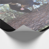 Cadeau Papier à enveloppement d'ours noir (Coin)