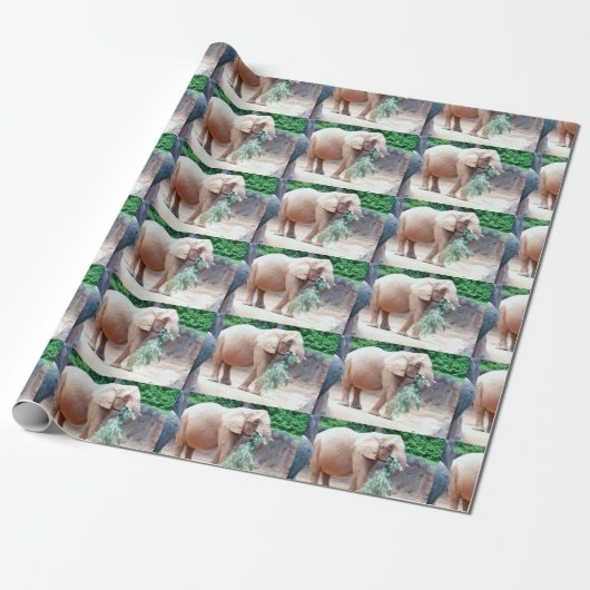 Cadeau Papier à enveloppement éléphant (Déroulé)