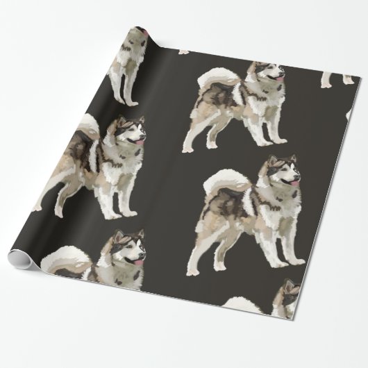 Cadeau Papier à enveloppement Husky (Déroulé)